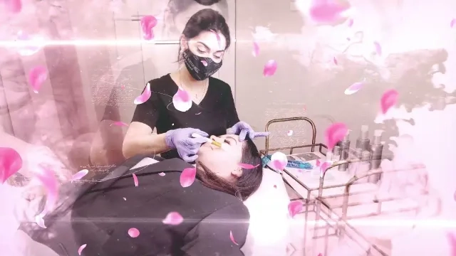 Aesthetic Facial Treatment Session